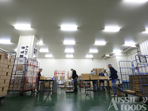 物流用語「3温度帯」とは_オージーフーズの定温の作業場