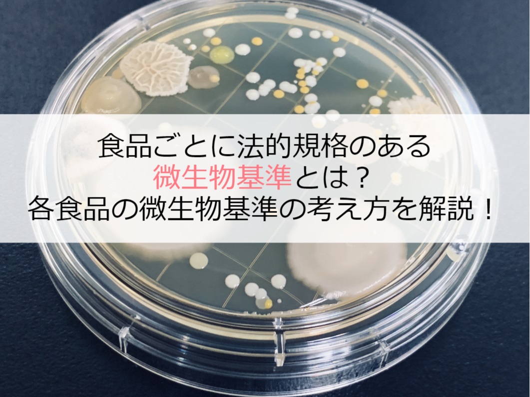 微生物基準