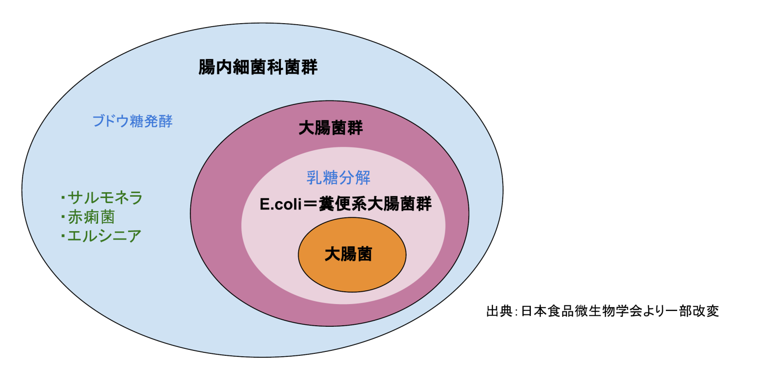 大腸菌と大腸菌群ってどう違うの? | オージーフーズ品質管理業務サポートサービス