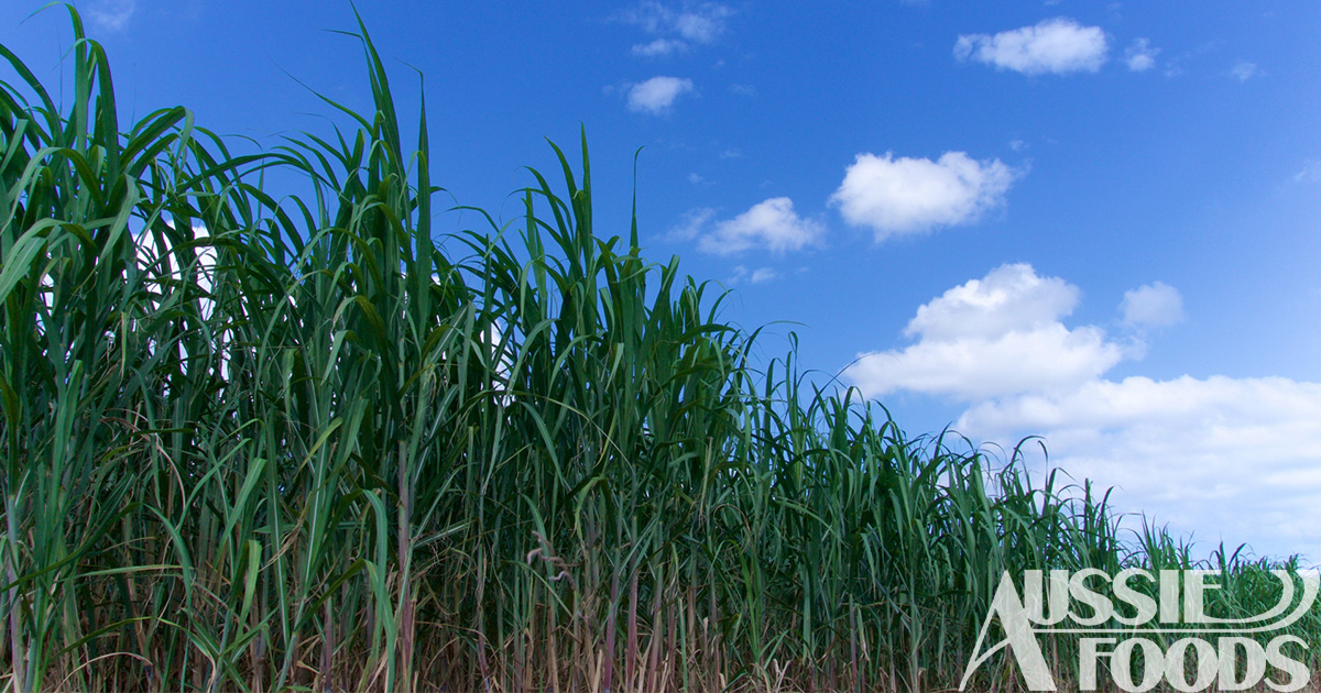 黒糖加工品の原料原産地表示について